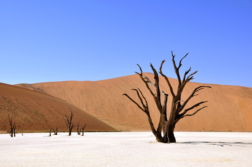 namibijská poušť